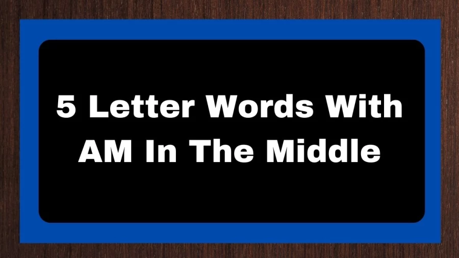 5 Letter Words With AM In The Middle, List of 5 Letter Words With AM In The Middle