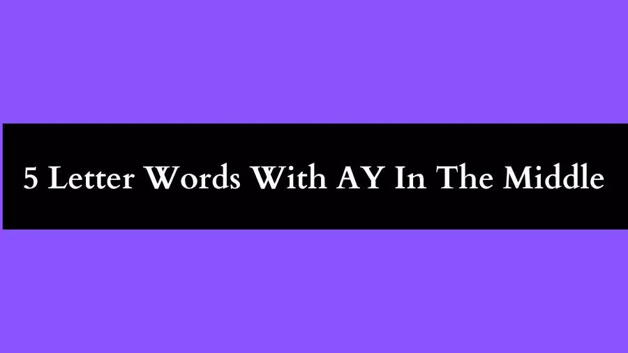 5 Letter Words With AY In The Middle All Words List