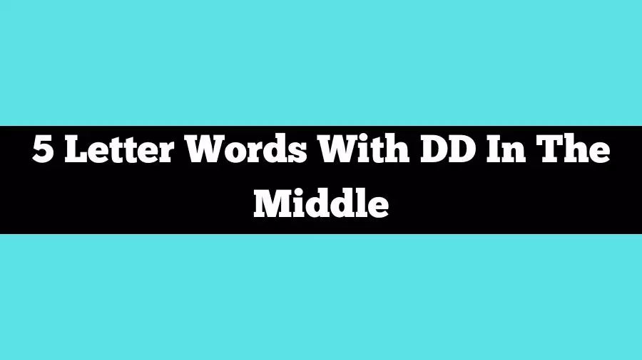 5 Letter Words With DD In The Middle, List of 5 Letter Words With DD In The Middle