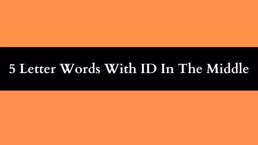 5 Letter Words With ID In The Middle, List of 5 Letter Words With ID In The Middle