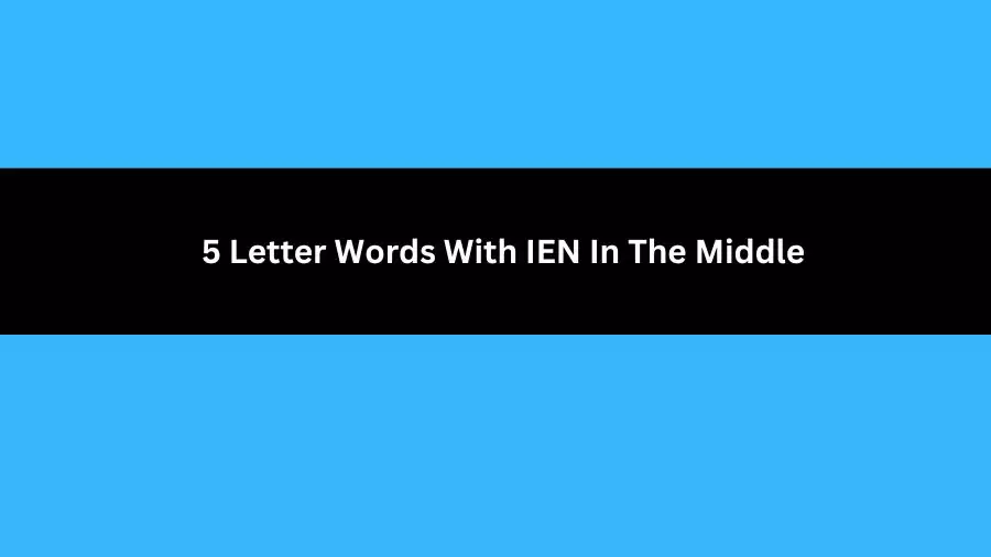5 Letter Words With IEN In The Middle, List of 5 Letter Words With IEN In The Middle