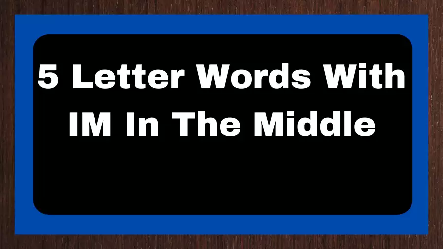5 Letter Words With IM In The Middle, List of 5 Letter Words With IM In The Middle