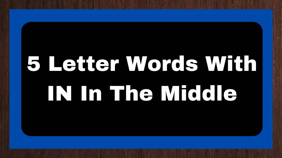 5 Letter Words With IN In The Middle, List of 5 Letter Words With IN In The Middle