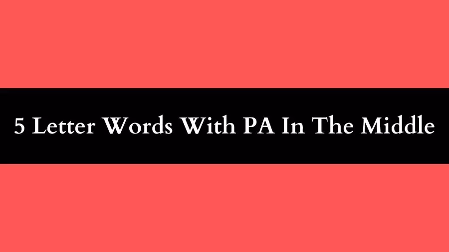 5 Letter Words With PA In The Middle, List of 5 Letter Words With PA In The Middle