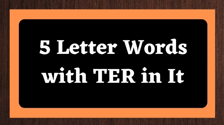 5 Letter Words with TER in It - Wordle Hint