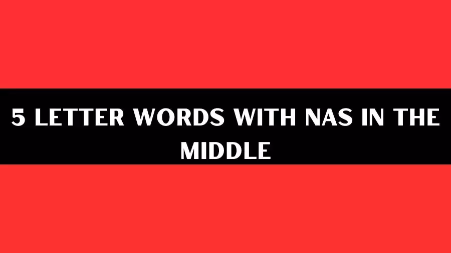 5 Letter Words With NAS In The Middle, List of 5 Letter Words With NAS In The Middle