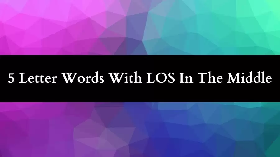 5 Letter Words With LOS In The Middle All Words List