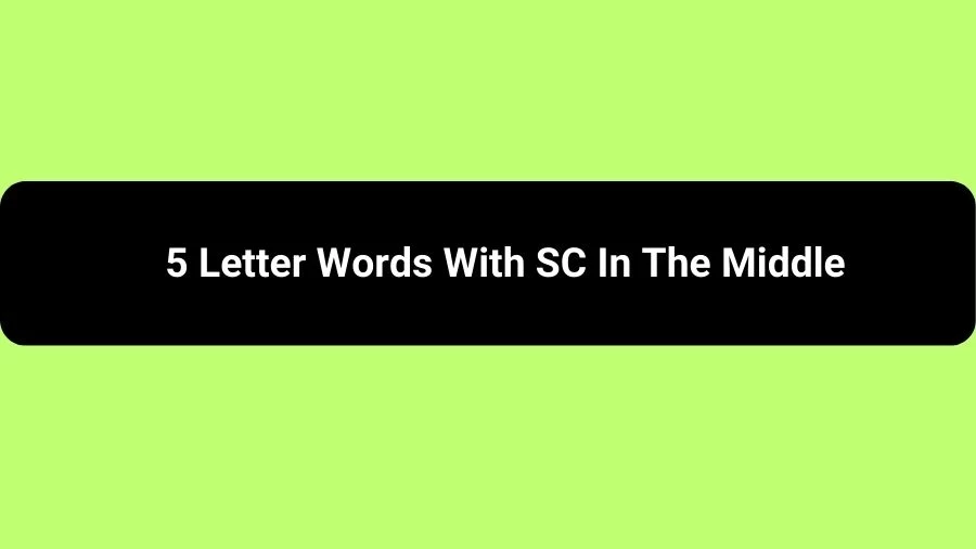 5 Letter Words With SC In The Middle, List of 5 Letter Words With SC In The Middle