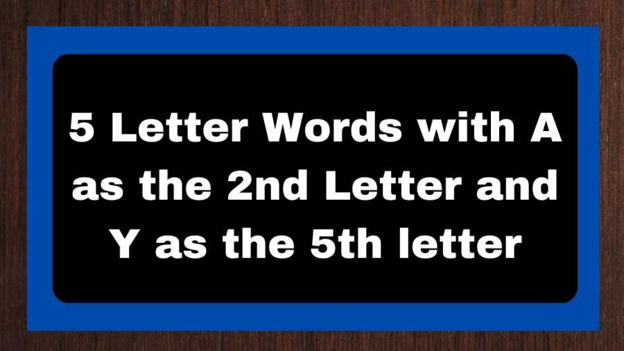 5 Letter Words with A as the 2nd Letter and Y as the 5th letter, List of 5 Letter Words with A as the 2nd Letter and Y as the 5th letter