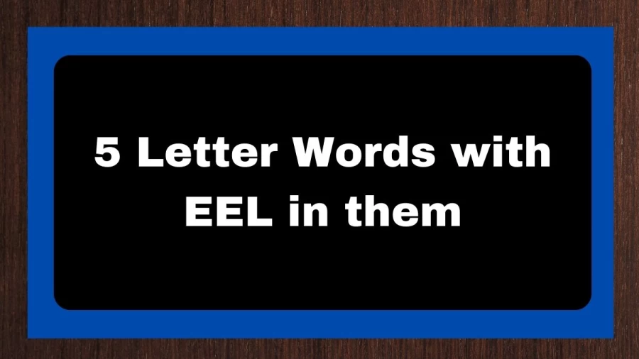 5 Letter Words with EEL in them, List of 5 Letter Words with EEL in them