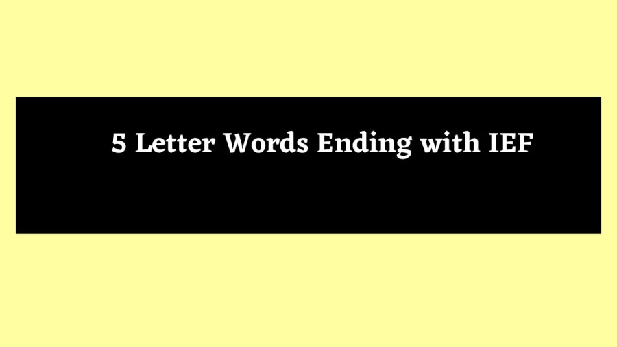 5 Letter Words Ending with IEF - Wordle Hint