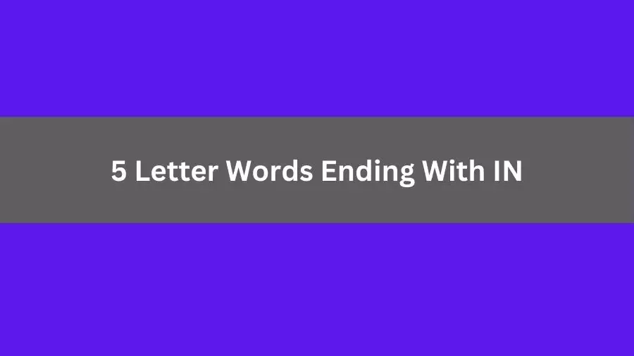 5 Letter Words Ending With IN, List of 5 Letter Words Ending With IN