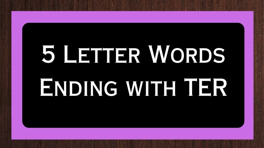5 Letter Words Ending with TER - Wordle Hint