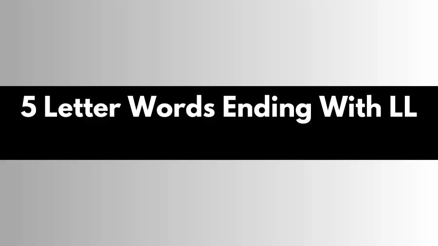 5 Letter Words Ending With LL  All Words List