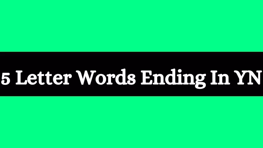 5 Letter Words Ends With YN List of Five Letter Words Ends in YN