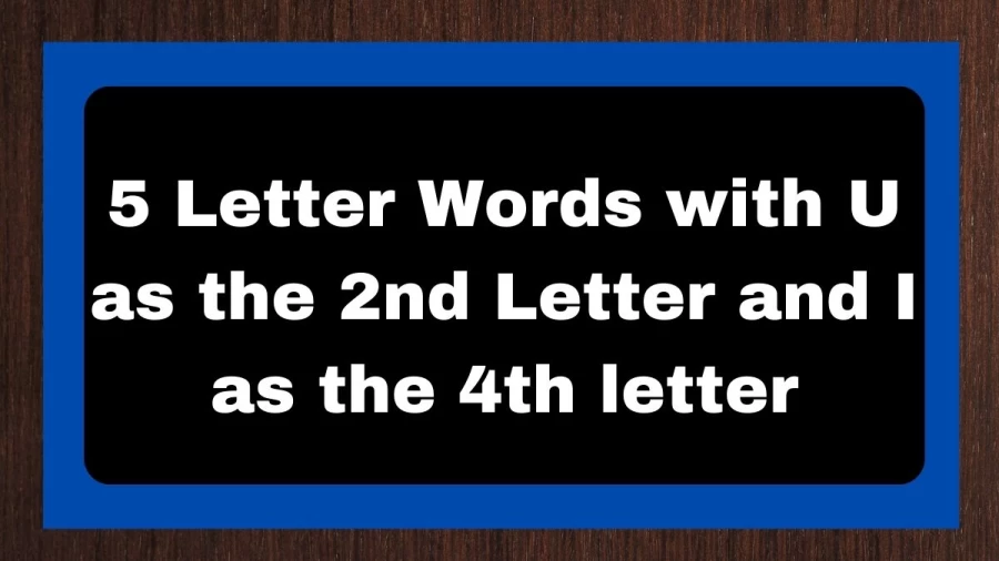 5 Letter Words with U as the 2nd Letter and I as the 4th letter, List of 5 Letter Words with U as the 2nd Letter and I as the 4th letter