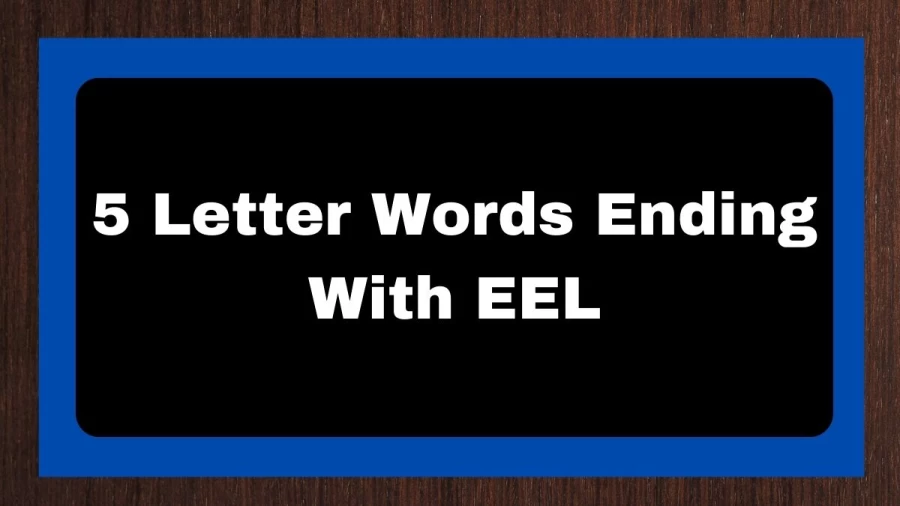 5 Letter Words Ending With EEL, List of 5 Letter Words Ending With EEL