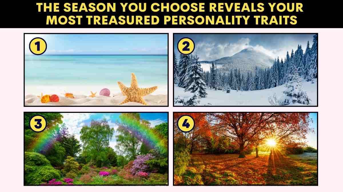 Personality Test: The Season You Choose Reveals Your Most Treasured Personality Traits