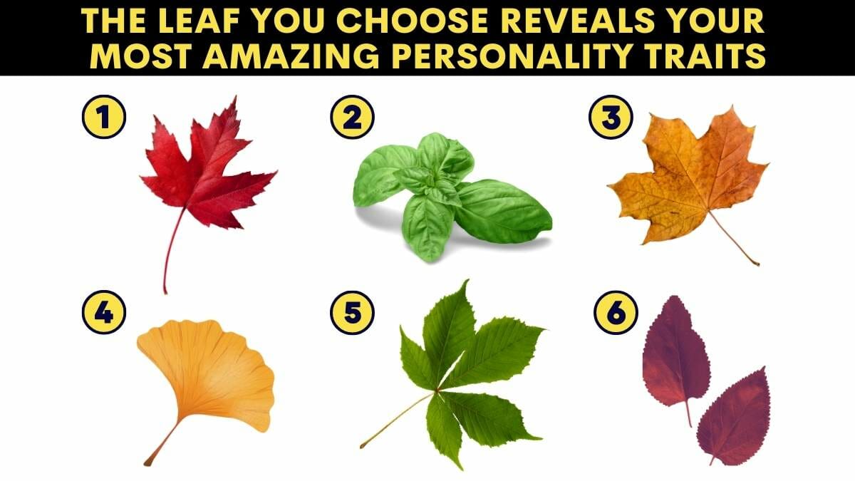 The Leaf You Choose Reveals Your Most Amazing Personality Traits