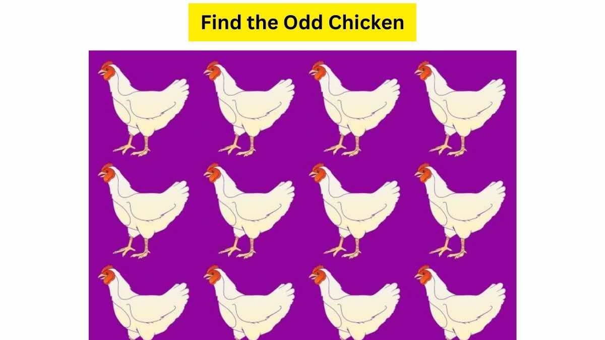 Can You Solve This Odd One Out Puzzle?