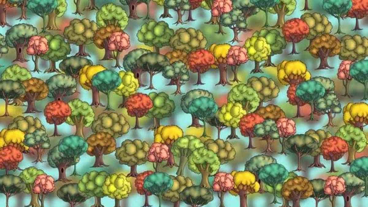 Find Broccoli among Trees in 6 Seconds