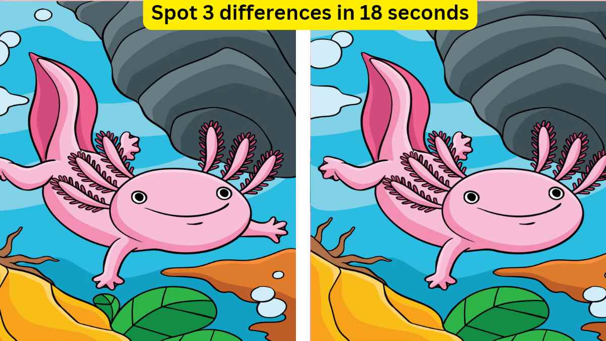Spot the Difference- Spot 3 differences in 18 seconds