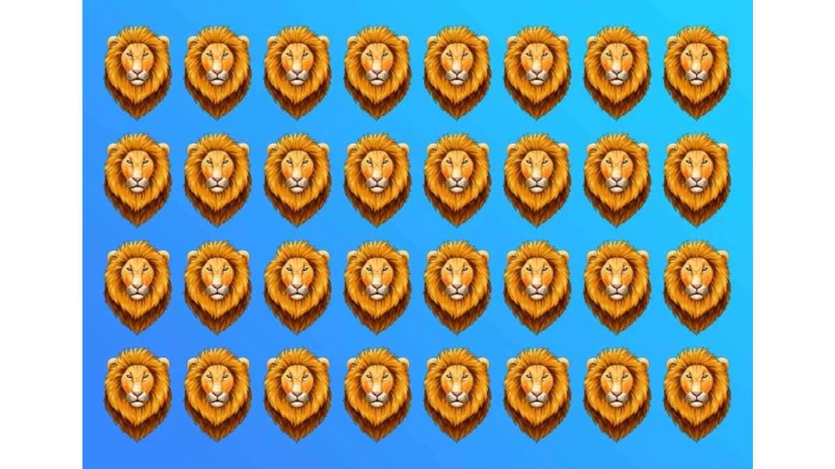 Find Odd Lion in 7 Seconds
