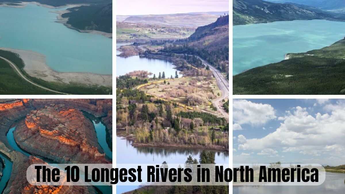 The 10 Longest Rivers in North America
