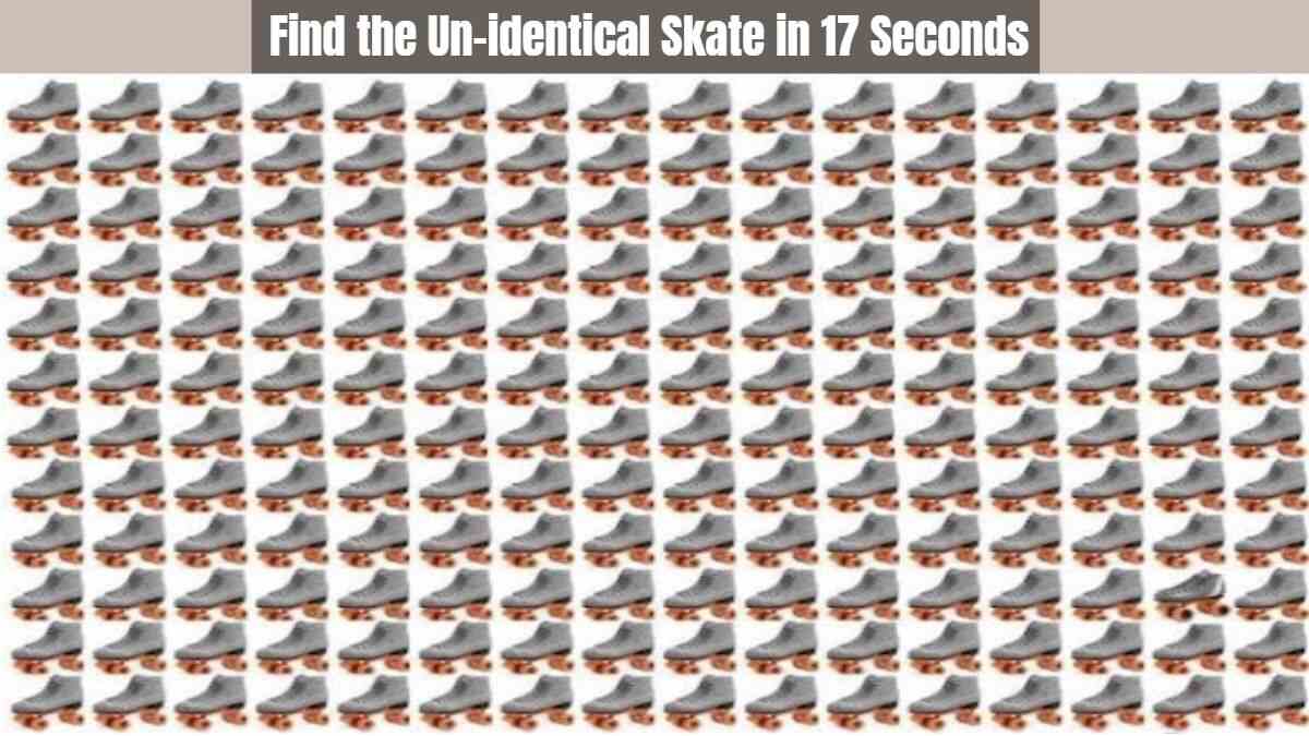 Optical Illusion: Find The Skate in 17 Seconds