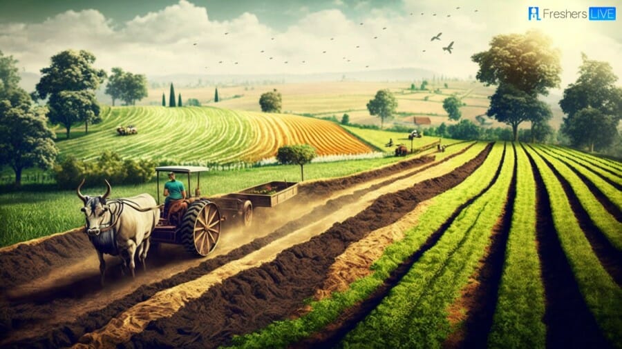 Top 10 Agricultural Producing Countries in the World 2023