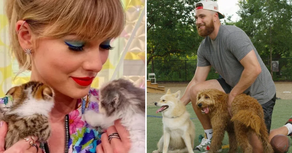 Travis Kelce y Taylor Swift: ¿Qué papel juegan las mascotas en su posible relación?