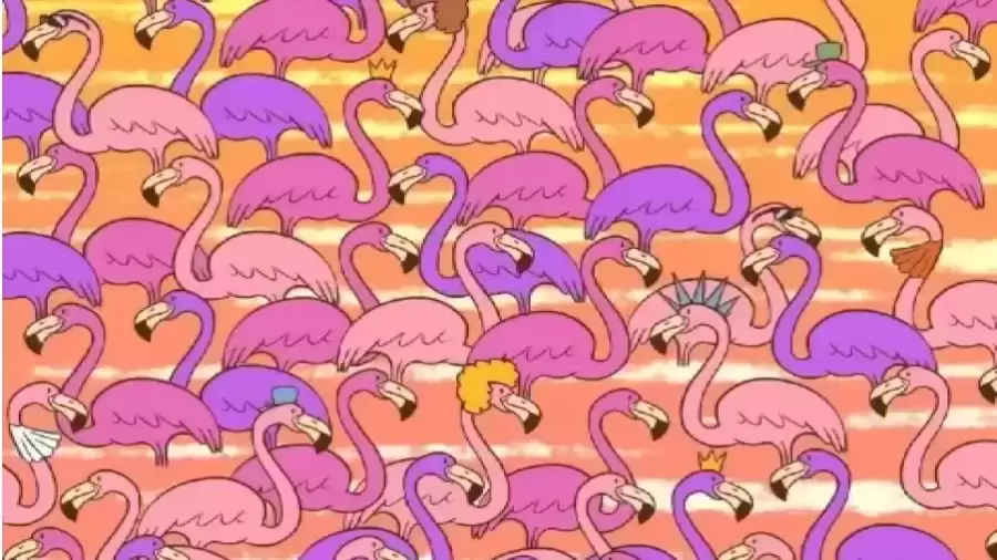 Try to Find a Tiny Heart Hidden Among These Flamingoes within 10 Seconds?