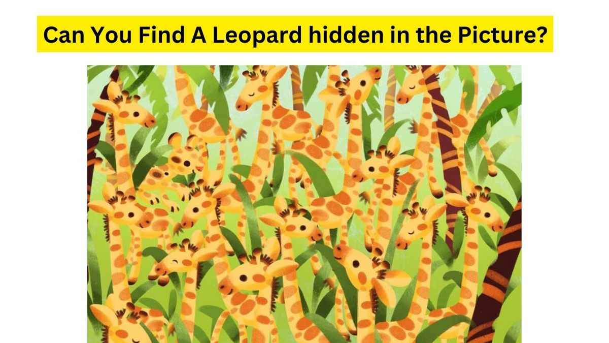 Do you see a Leopard in the Picture?