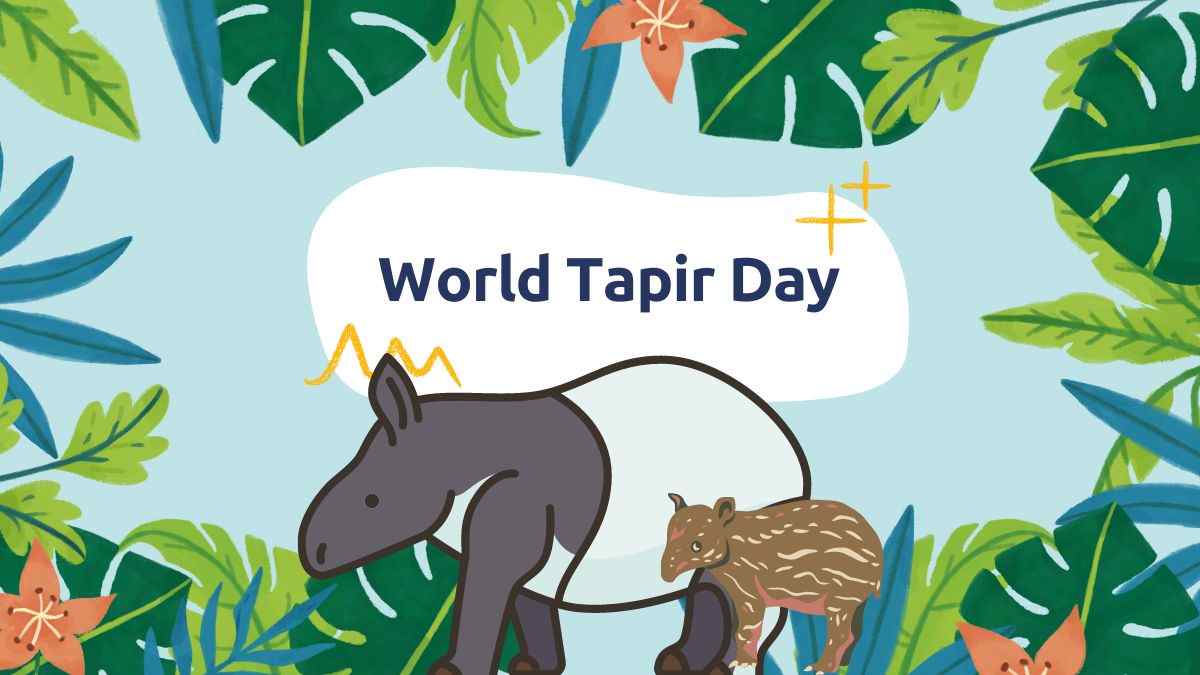 All You Need To Know About Tapir