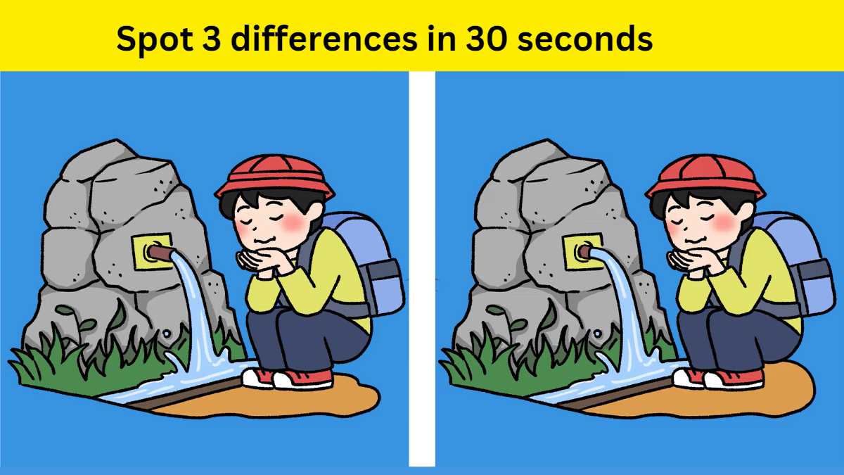 Spot the difference- Spot 3 differences in 30 seconds