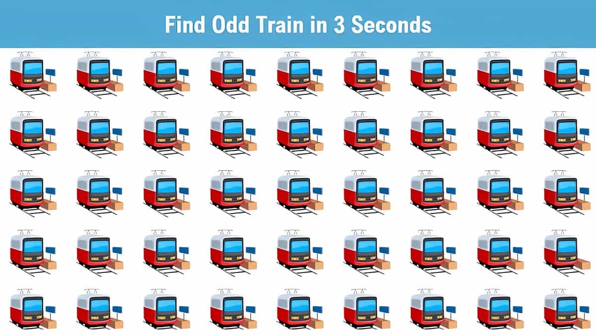 Seek and Find: Find odd train