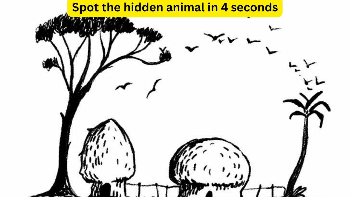 Spot the hidden animal in 4 seconds