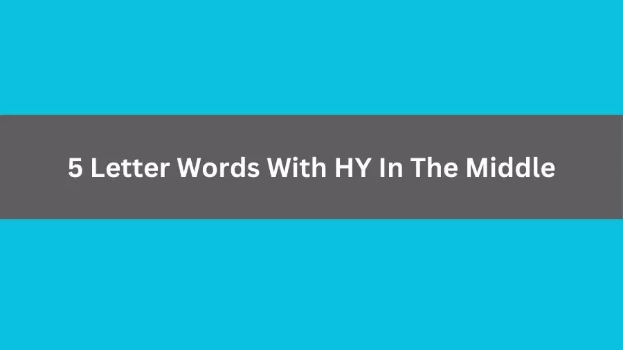 5 Letter Words With HY In The Middle, List of 5 Letter Words With HY In The Middle