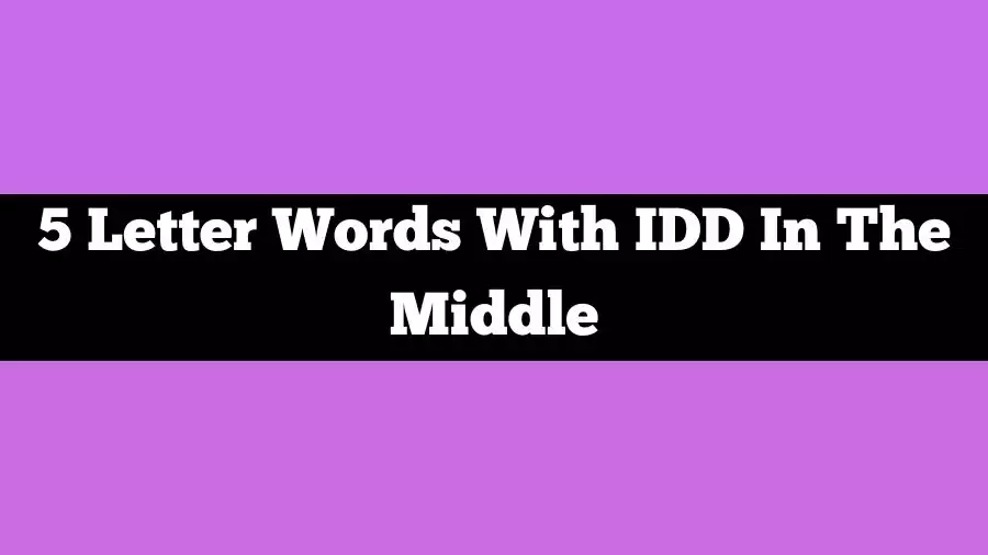5 Letter Words With IDD In The Middle, List of 5 Letter Words With IDD In The Middle