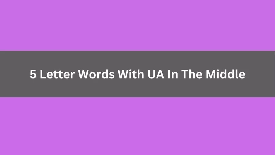 5 Letter Words With UA In The Middle, List of 5 Letter Words With UA In The Middle