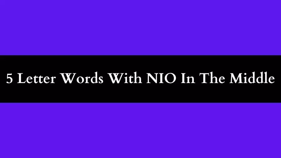 5 Letter Words With NIO In The Middle, List of 5 Letter Words With NIO In The Middle