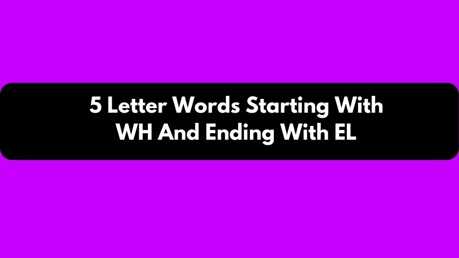 5 Letter Words Starting With WH And Ending With EL, List of 5 Letter Words Starting With WH And Ending With EL