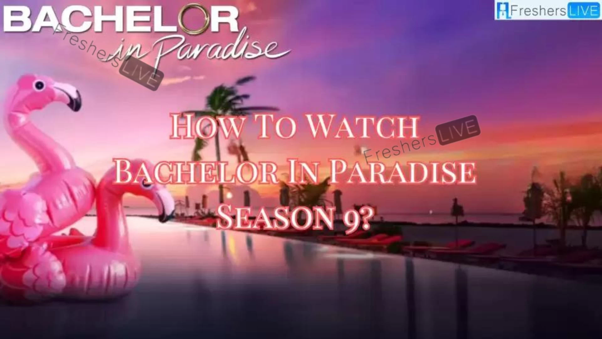 ¿Cómo ver la temporada 9 de Bachelor In Paradise?  Concursantes de la temporada 9 de Bachelor In Paradise