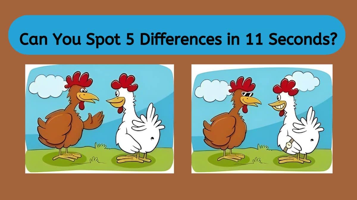 Can You Spot 5 Differences in 11 Seconds?