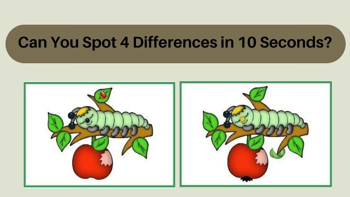 Spot 4 Differences in 10 seconds