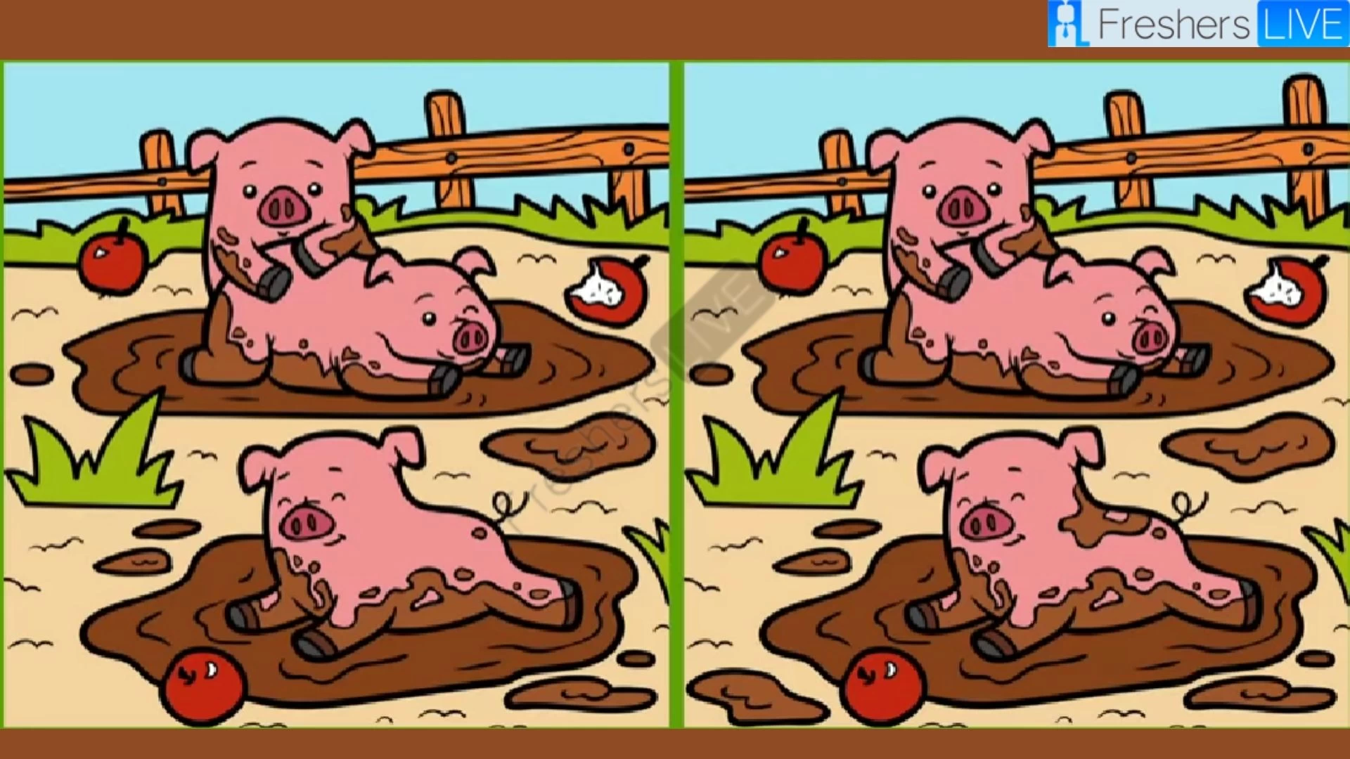 Only Extra Sharp Eyes can spot the 3 differences in the Pig picture within 12 seconds