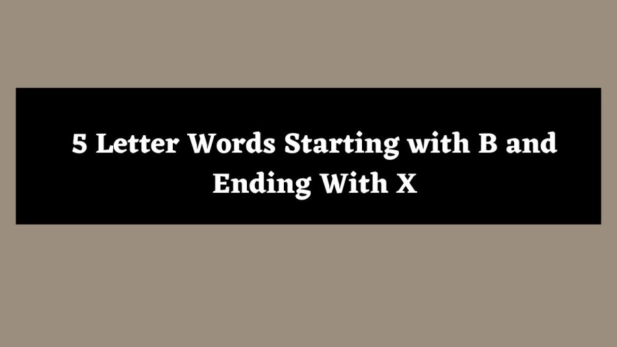 5 Letter Words Starting with B and Ending With X - Wordle Hint