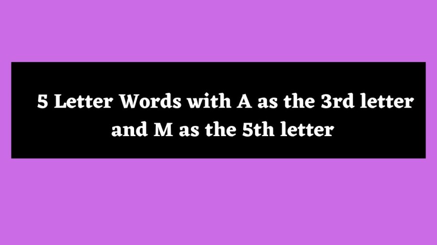 5 Letter Words with A as the 3rd letter and M as the 5th letter - Wordle Hint
