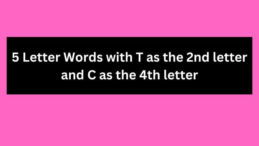 5 Letter Words with T as the 2nd letter and C as the 4th letter - Wordle Hint