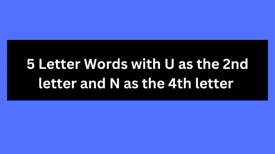 5 Letter Words with U as the 2nd letter and N as the 4th letter - Wordle Hint